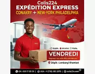 LIVRAISON COLIS CONAKRY USA ETATS-UNIS D'AMERIQUE