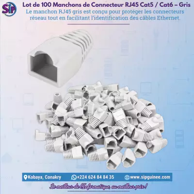 Lot de 100 Manchons de Connecteur RJ45 Cat5 / Cat6 - Gris