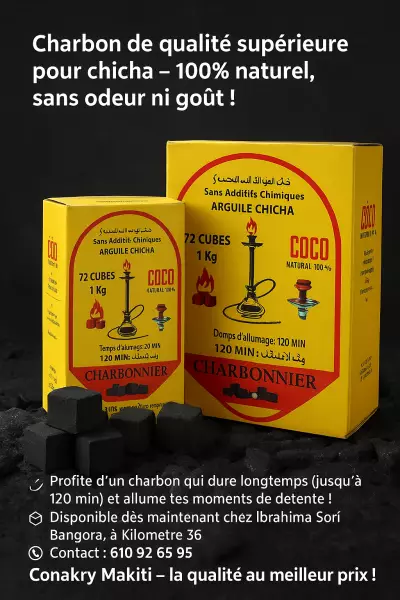 Charbon disponible en gros et détails 