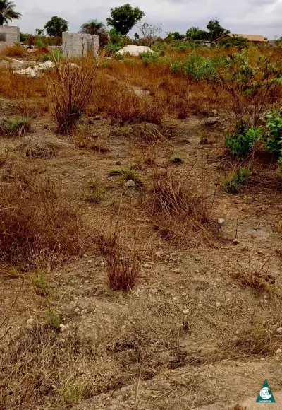 Vente des parcelles à Kakoulimaya plat