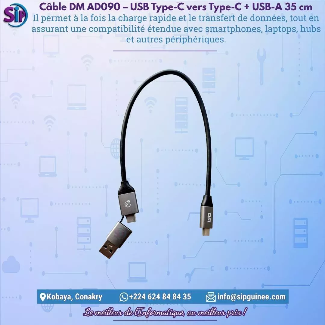 Câble DM AD090 – USB Type-C vers Type-C + USB-A 35 cm