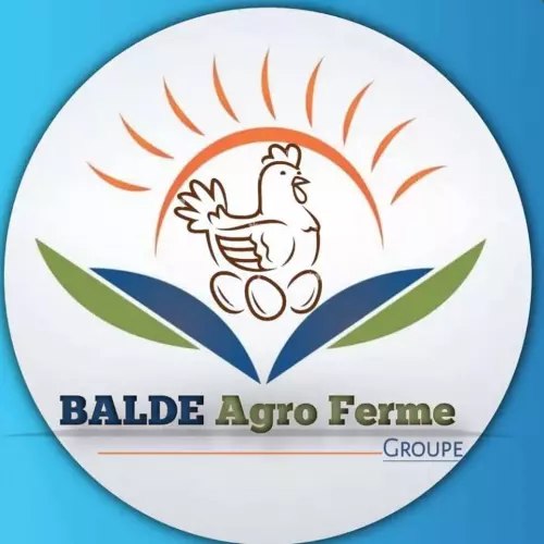 Balde Agro Ferme Groupe 